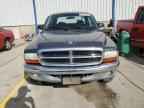 2004 DODGE Dakota