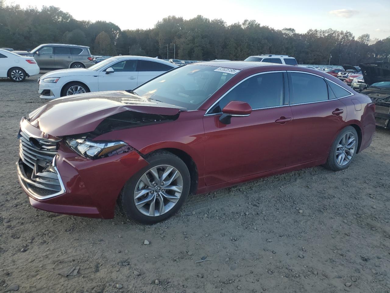 2019 TOYOTA Avalon