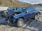 2007 CHEVROLET Trailblazer
