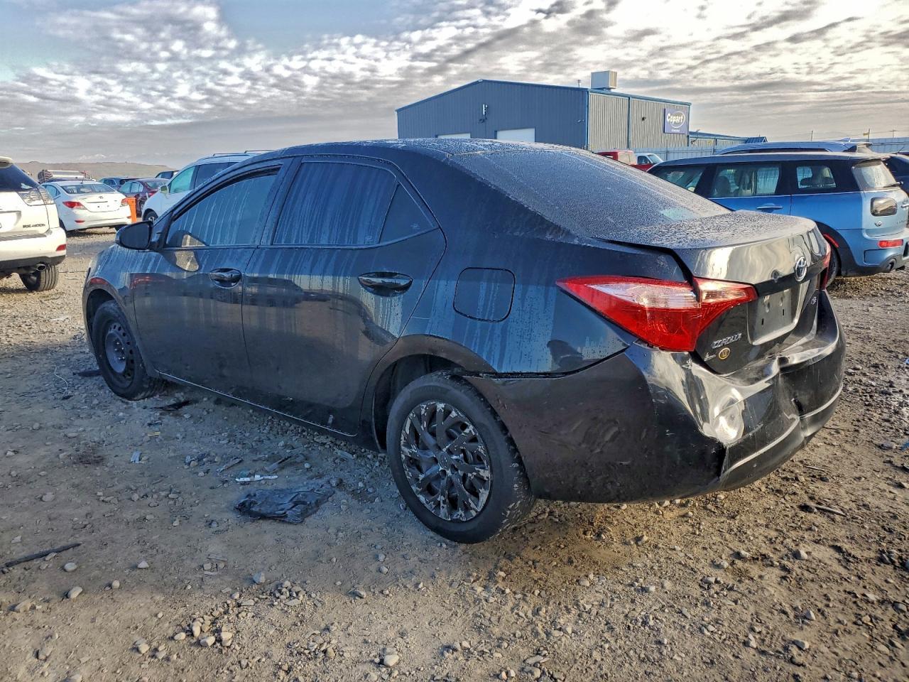2019 TOYOTA COROLLA