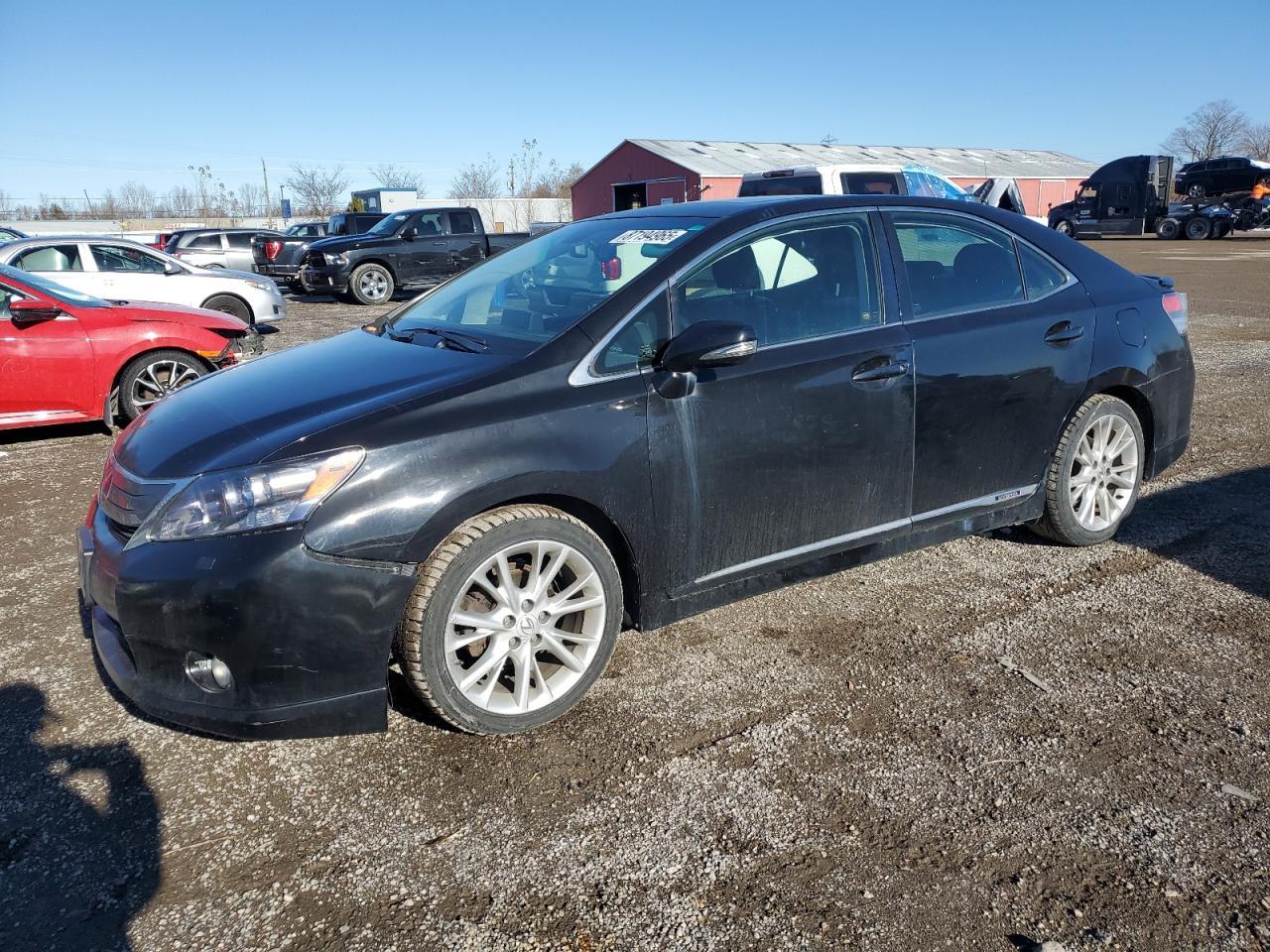 2010 LEXUS HS 250h