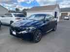 2024 BMW X6