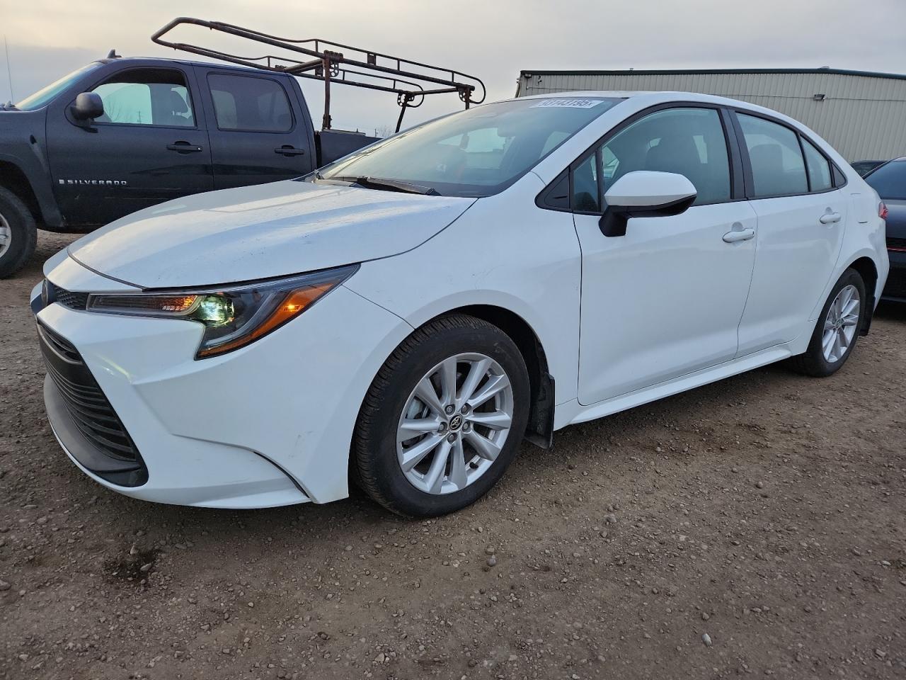 2024 TOYOTA COROLLA