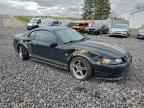 2004 FORD MUSTANG