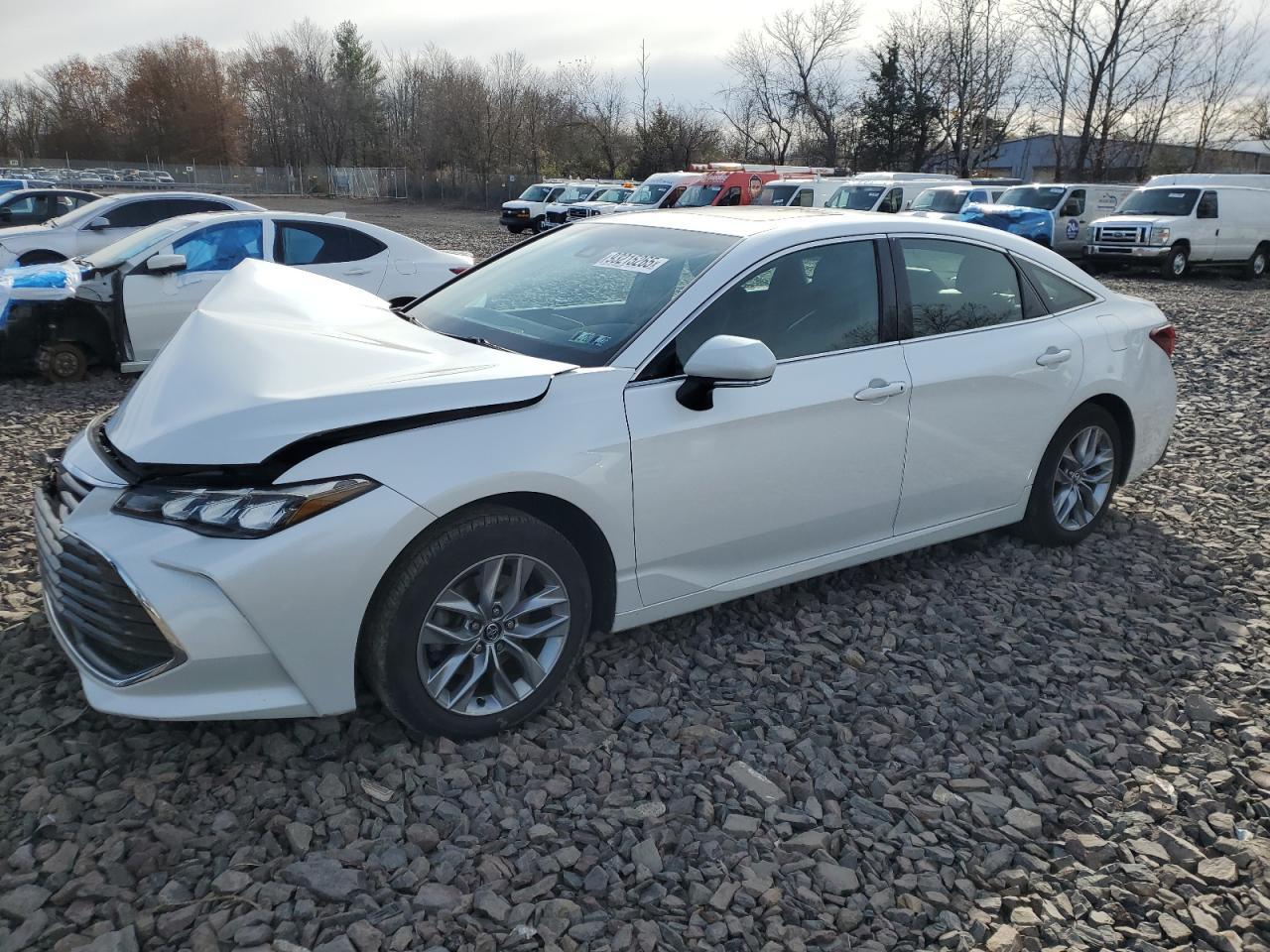 2019 TOYOTA Avalon