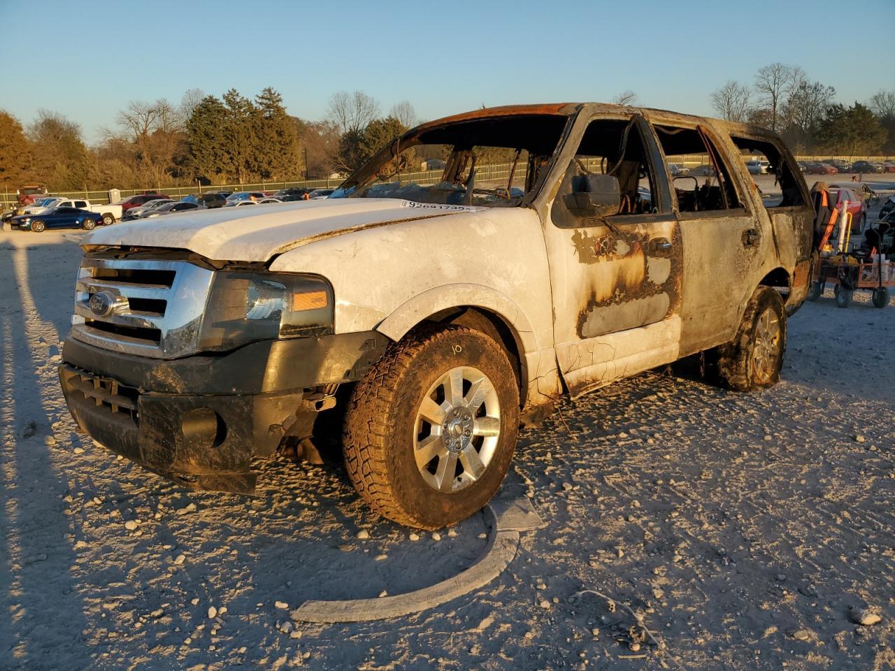 2010 FORD Expedition