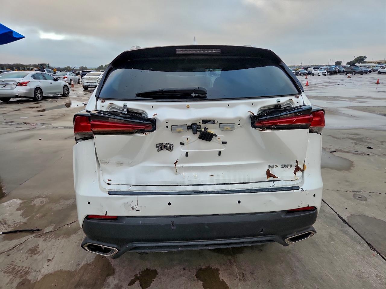 2020 LEXUS NX 300
