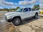 2004 DODGE Dakota