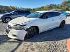 2017 NISSAN Maxima