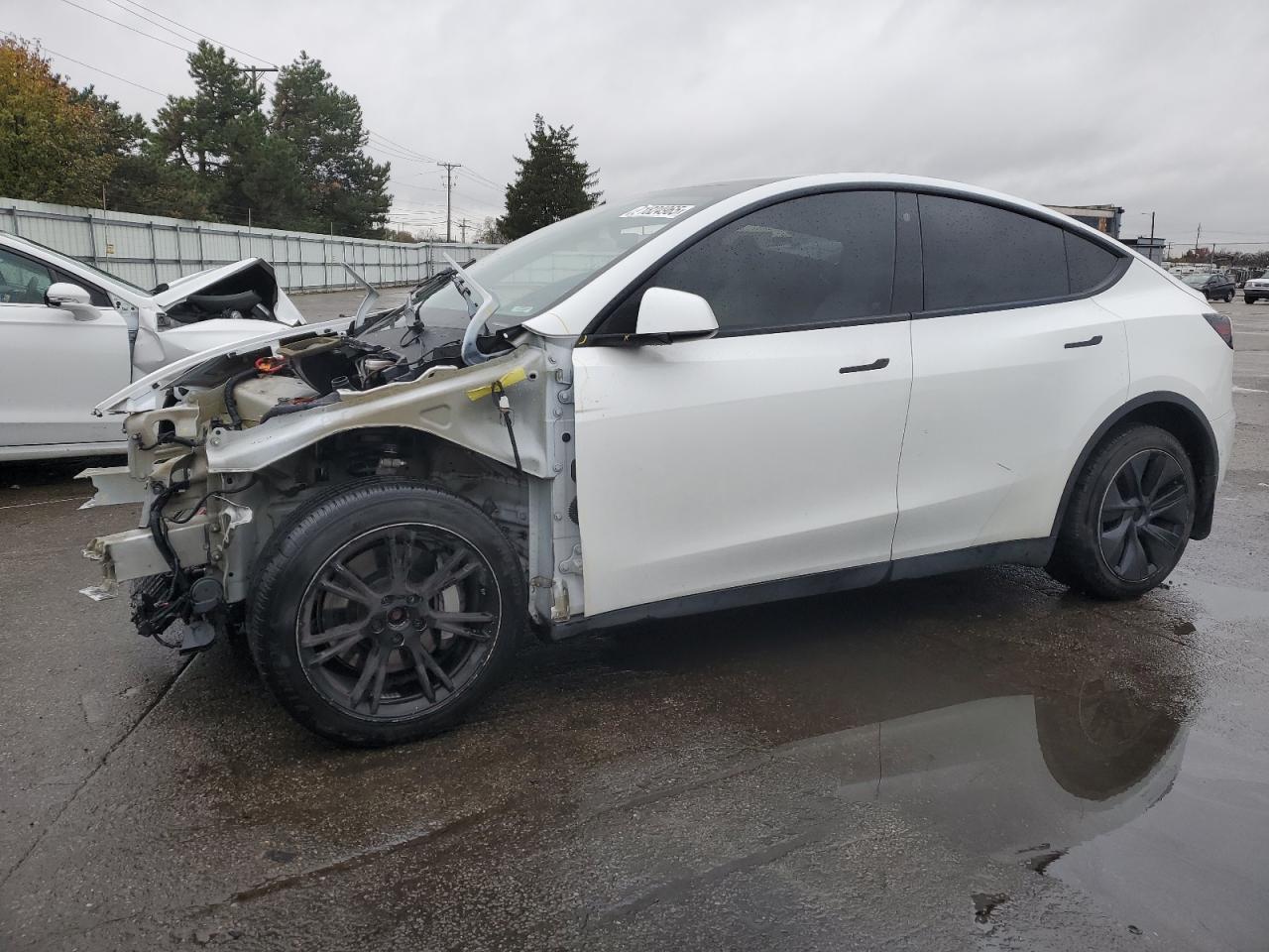 2021 TESLA MODEL Y