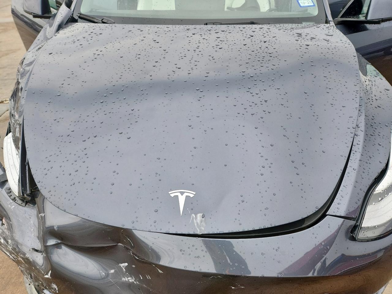 2021 TESLA MODEL Y