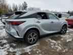 2023 LEXUS RX 350