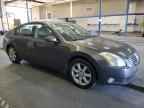 2005 NISSAN Maxima