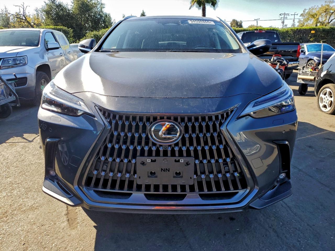 2024 LEXUS Nx