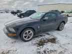 2006 FORD MUSTANG