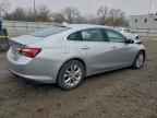 2019 CHEVROLET MALIBU