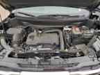 2025 GMC Terrain