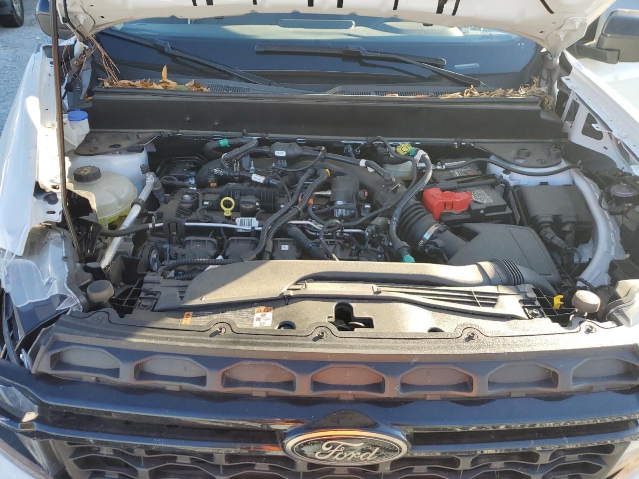 2024 FORD Maverick