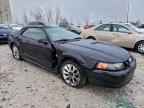 1999 FORD MUSTANG