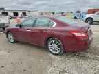 2010 NISSAN Maxima