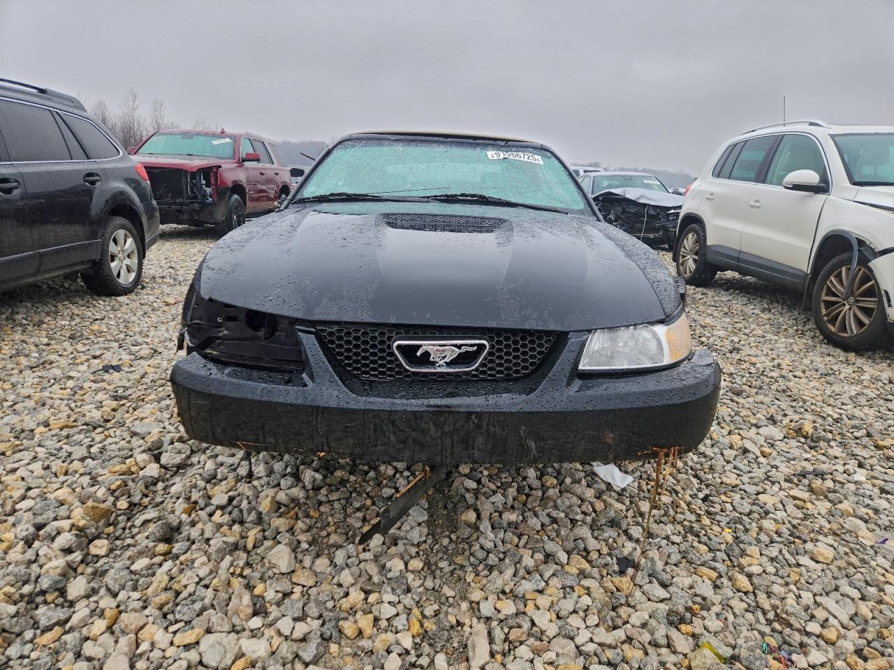 1999 FORD MUSTANG