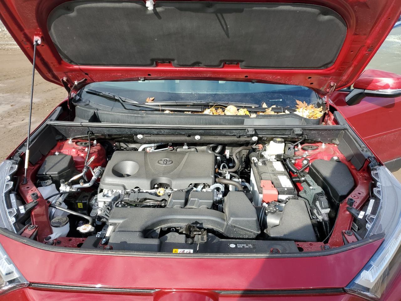 2025 TOYOTA RAV4