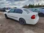 2004 CHEVROLET MALIBU