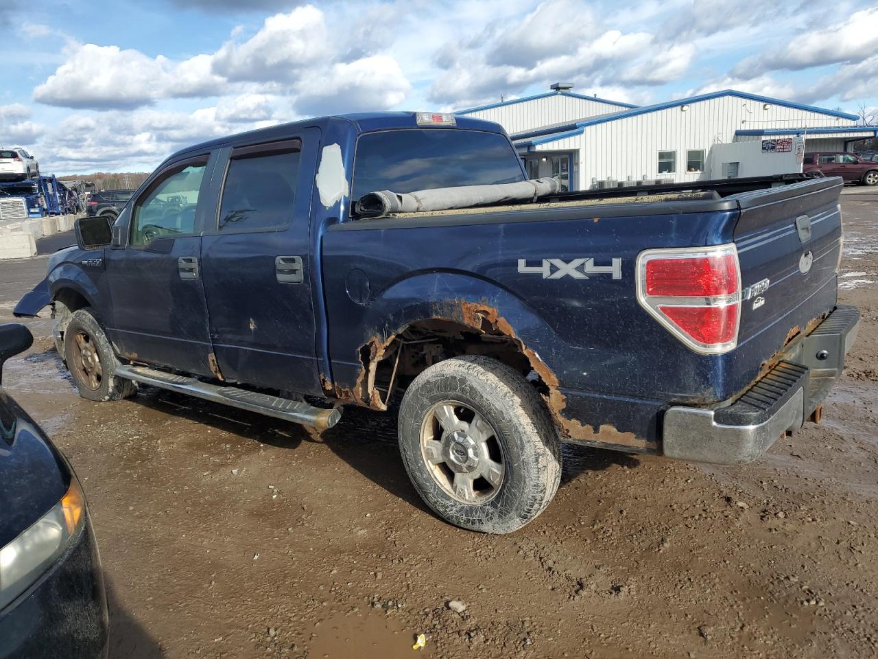 2009 FORD F-150