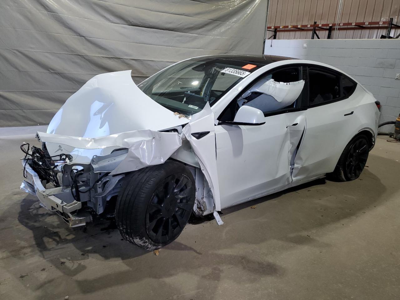 2025 TESLA MODEL Y