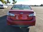 2010 LEXUS HS 250h