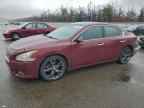 2010 NISSAN Maxima