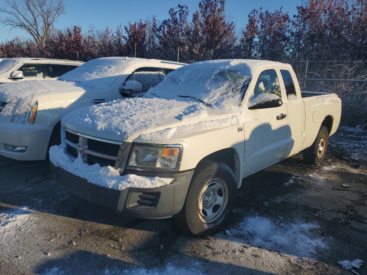 2009 DODGE Dakota