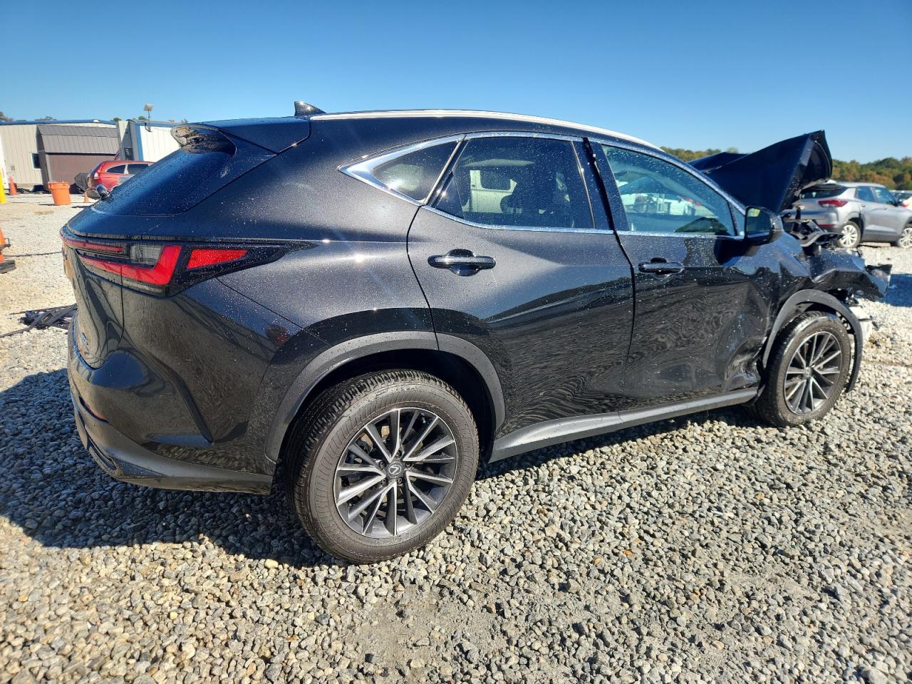 2024 LEXUS NX 250