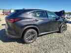 2024 LEXUS NX 250