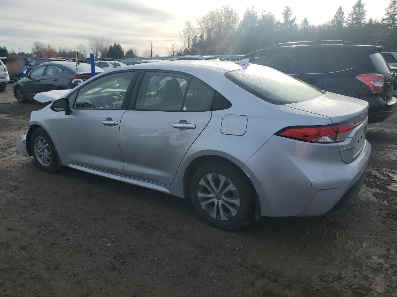 2023 TOYOTA COROLLA