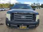 2009 FORD F-150