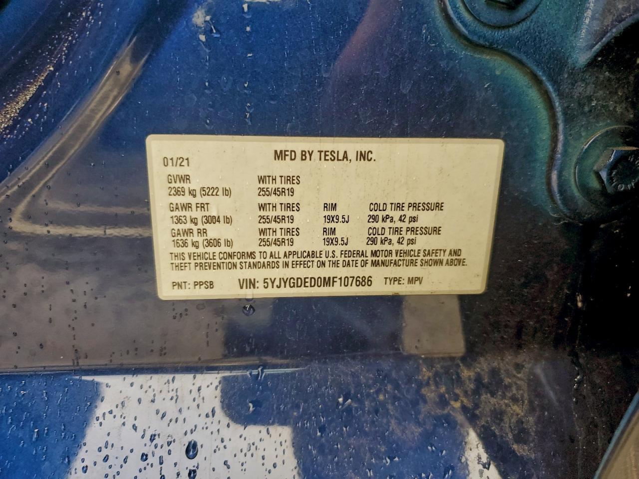 2021 TESLA MODEL Y