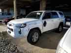 2023 TOYOTA 4Runner