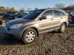 2009 HONDA CR-V