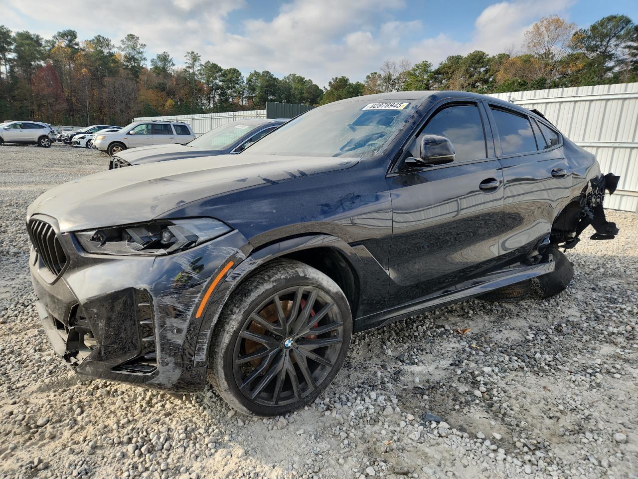 2024 BMW X6