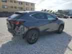 2024 LEXUS NX 250