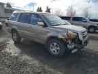 2006 HONDA PILOT