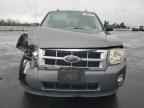 2009 FORD ESCAPE