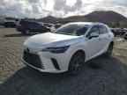 2023 LEXUS RX 350