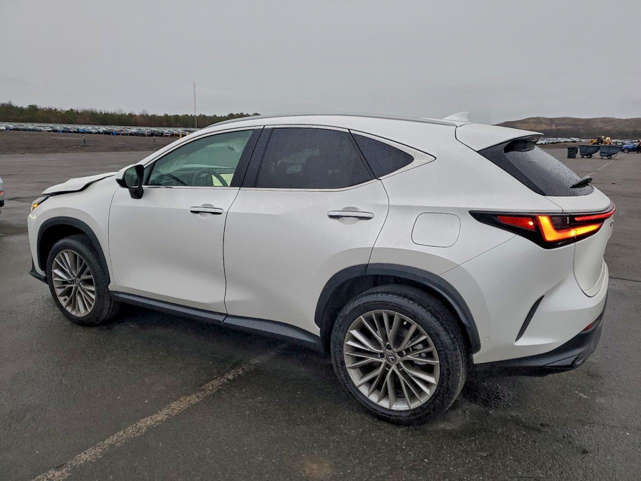 2025 LEXUS NX 350