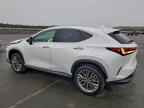 2025 LEXUS NX 350