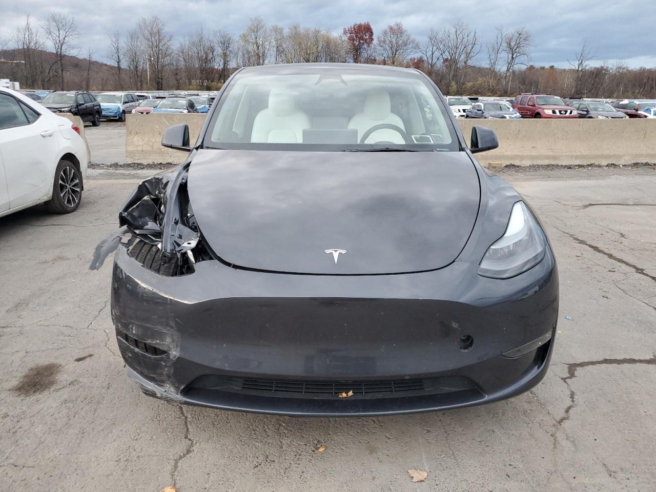 2025 TESLA MODEL Y