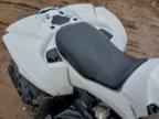 2023 CAN-AM Renegade