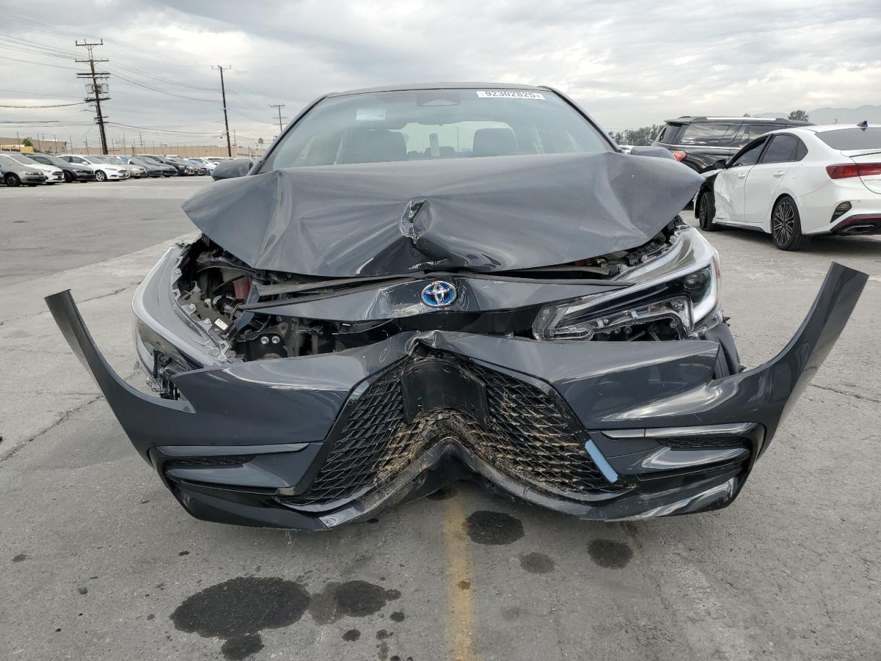 2025 TOYOTA COROLLA