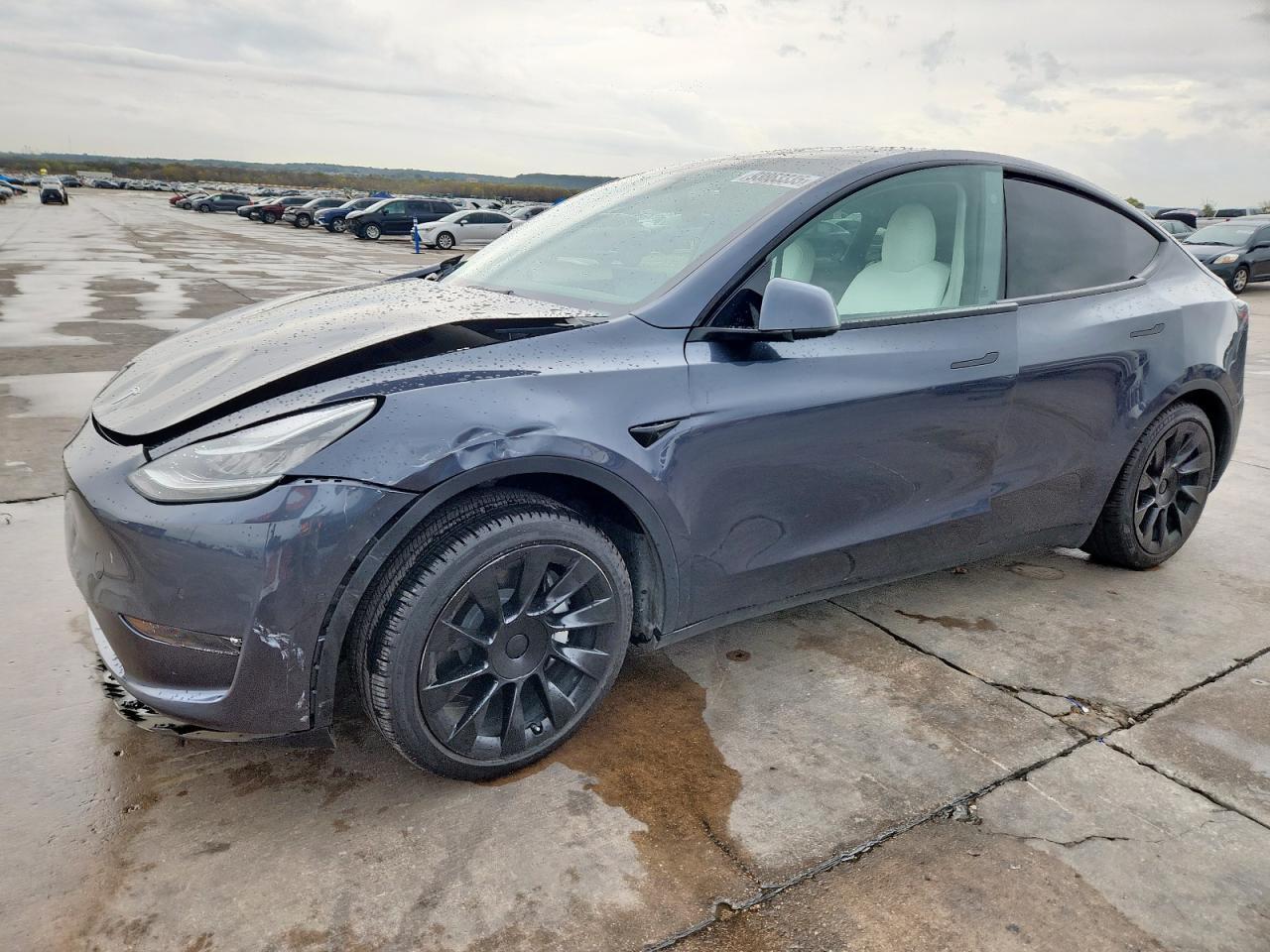 2021 TESLA MODEL Y